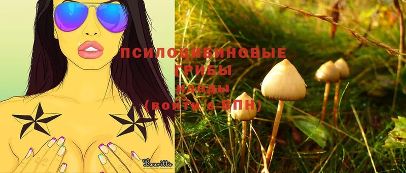 Псилоцибиновые грибы Magic Shrooms  Биробиджан 